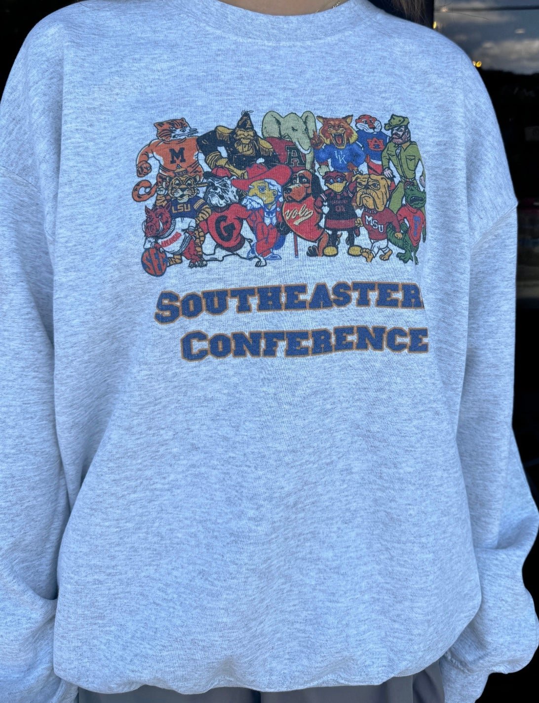 SEC Sweatshirt