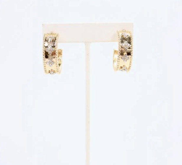 Izabella CZ Hoop Earrings